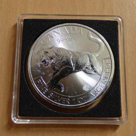 Canada 5$ Predator Cougar 2016 silver 99.99% 1 oz in Quadum capsule