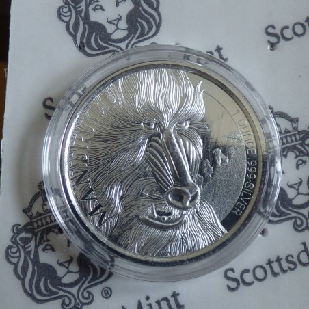 Cameroon 500 CFA 2020 Mandrill silver 99.9% 1 oz