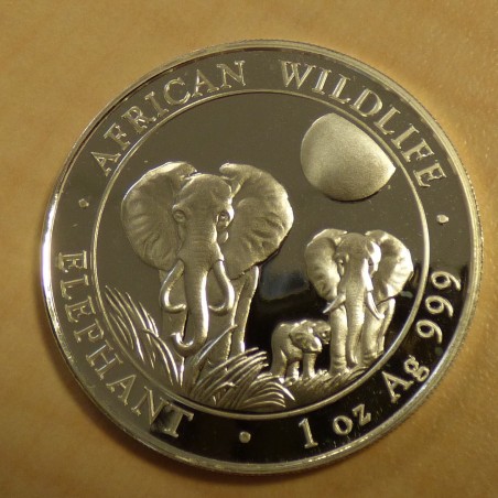 Somalia 100 schillings Elephant 2014 silver 99.9%