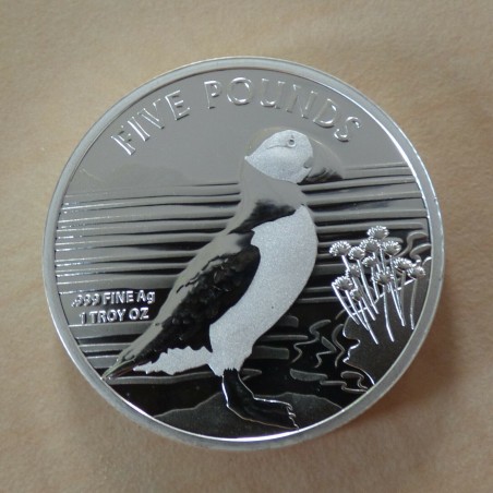 Alderney 5£ 2019 Puffin silver 99.9% 1 oz
