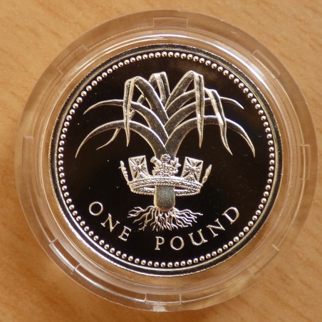 UK 1£ Poireau du Pays de Galles 1985 PROOF silver 92.5% (9.5 g) sous capsule