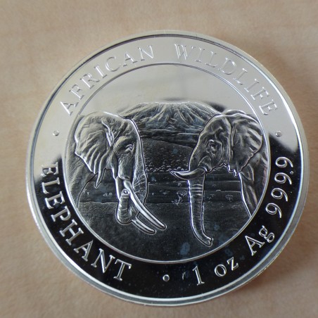Somalia 100 schillings Elephant 2020 silver 99.9%