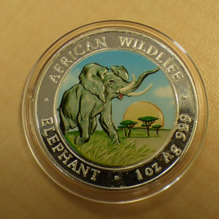 Somalie 100 schillings Elephant 2009 coloré argent 99.9% 1 oz