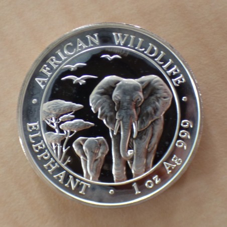 Somalia 100 schillings Elephant 2015 silver 99.9% 1 oz