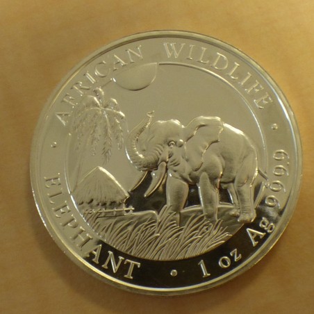 Somalia 100 schillings Elephant 2017 silver 99.9% 1 oz