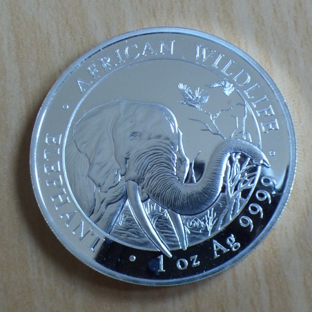 Somalia 100 schillings Elephant 2018 silver 99.9%