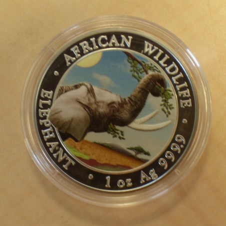 Somalie 100 schillings Elephant 2023 coloré argent 99.9% sous capsule