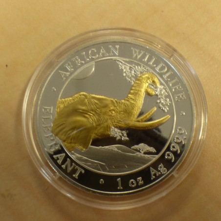 Somalia 100 schillings Elephant 2023 gilded silver 99.9% 1 oz in capsule