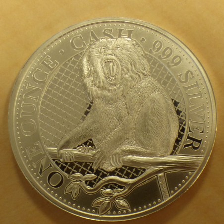 Saint Helena 1£ 2023 Cash Macaque Lion Monkey silver 99.9% 1 oz