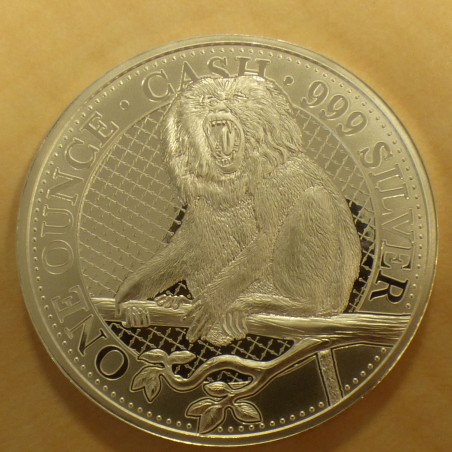 Sainte Helene 1£ 2022 Cash Lion Macaque argent 99.9% 1 oz