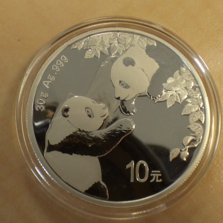 China 10 yuans Panda 2023 silver 99.9% 30g