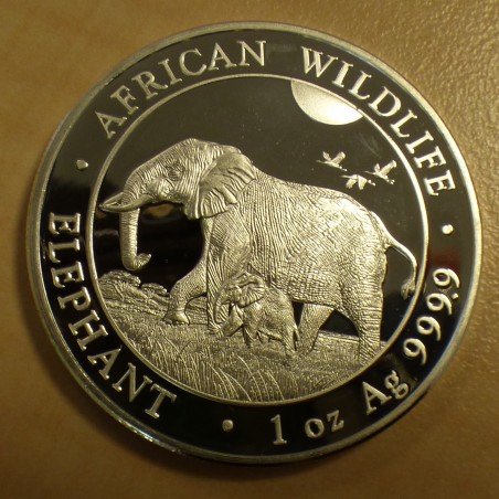 copy of Somalia 100 schillings Elephant 2022 silver 99.9% 1 oz