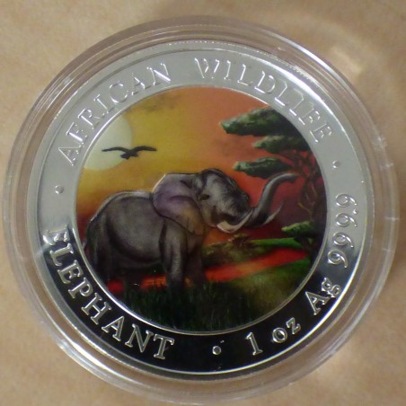 § Somalie 100 schillings Elephant 2019 coloré argent 99.9%