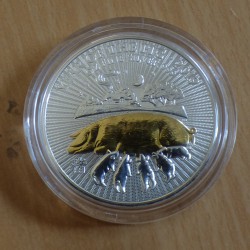 UK 2£ 2019 Année du cochon...