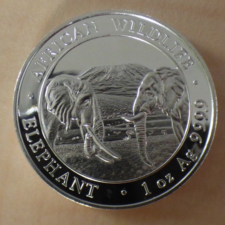 Somalie 100 schillings Elephant 2020 argent 99.9%