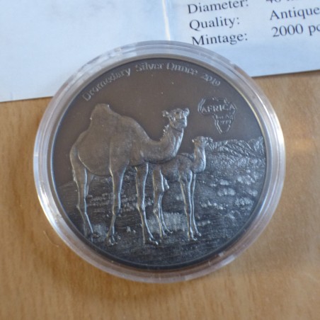 Cameroun 1000 CFA 2019 Dromadaire antique finish argent 99.9% 1 oz + CoA