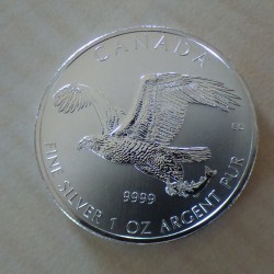 Canada 5$ Oiseaux de proie...