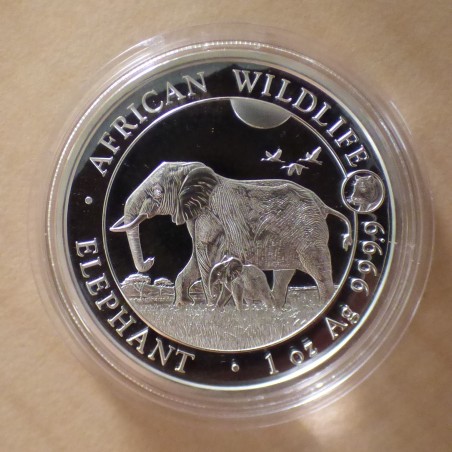 Somalie 100 schillings Elephant 2022 privy Tigre argent 99.9%