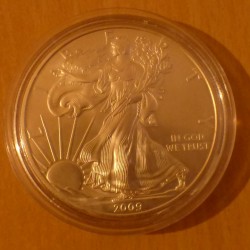 US 1$ Silver Eagle 2009 1...
