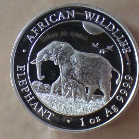Somalia 100 schillings Elephant 2022 silver 99.9% 1 oz
