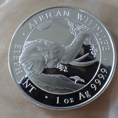 Somalia 100 schillings Elephant 2023 silver 99.9% 1 oz