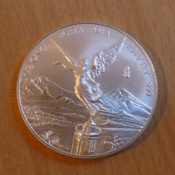 Mexique Libertad 2013...