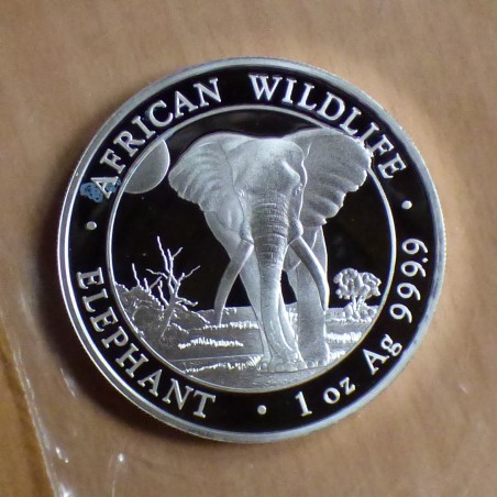 Somalie 100 schillings Elephant 2025 argent 99.9%