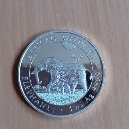 Somalie 100 schillings Elephant 2022 argent 99.9% 1 oz