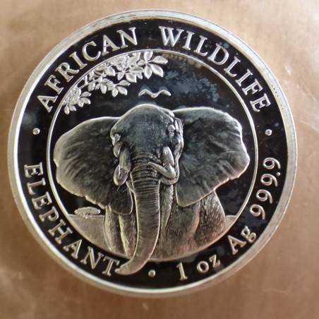 Somalie 100 schillings Elephant 2021 argent 99.9%