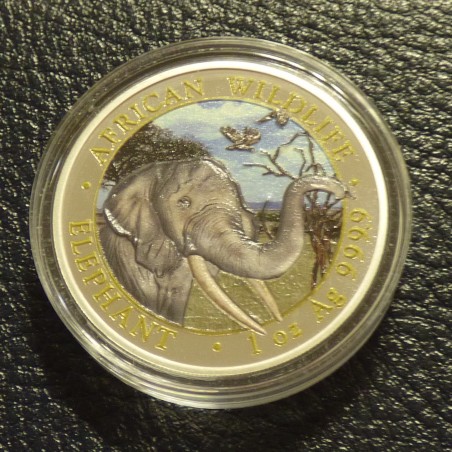 Somalia 100 schillings Elephant 2018 colored silver 99.9%