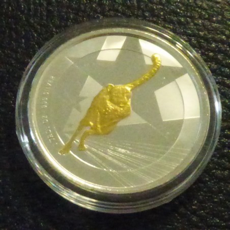 Cameroon 500 CFA 2019 Cheetah gilded silver 99.9% 1 oz