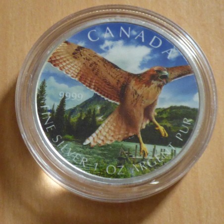 Canada 5$ Oiseaux de proie Faucon à queue rouge 2015 coloré en argent 99.99% 1 oz